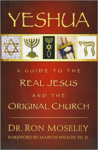 Yeshua: A Guide to the Real Jesus and the Original Church 